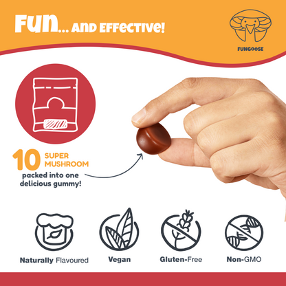 Immunity Mushroom Complex Extract Gummies
